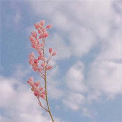 国内最大竞彩跟单APP