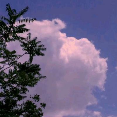 pg娱乐电子游戏官网官方入口