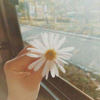 ManBetx万博全站APP最新版